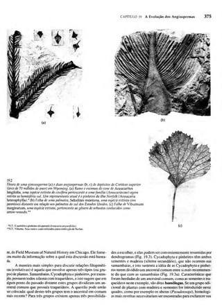 Biologia vegetal raven_5ªed