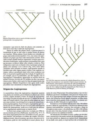 Biologia vegetal raven_5ªed