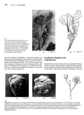 Biologia vegetal raven_5ªed