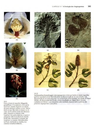 Biologia vegetal raven_5ªed