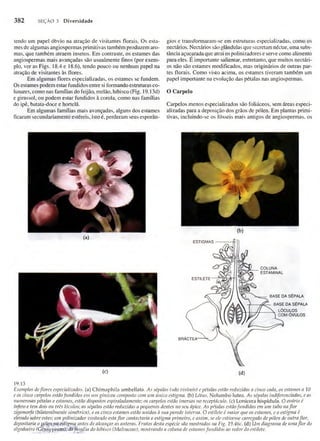 Biologia vegetal raven_5ªed