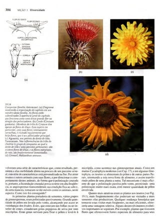 Biologia vegetal raven_5ªed