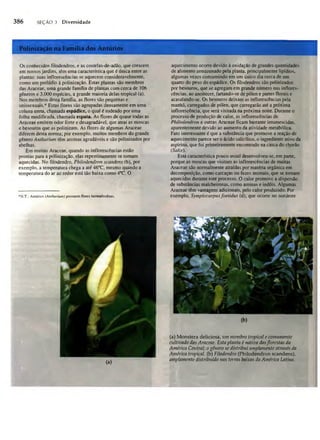 Biologia vegetal raven_5ªed