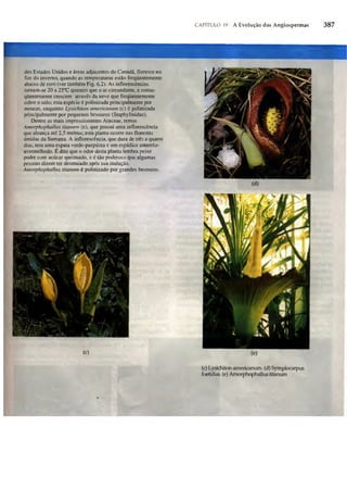 Biologia vegetal raven_5ªed