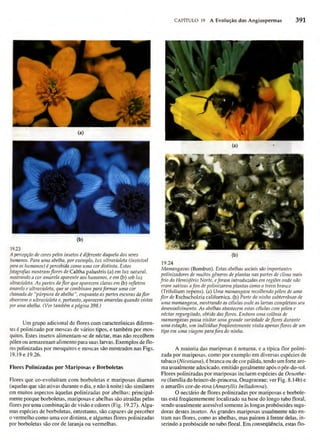 Biologia vegetal raven_5ªed