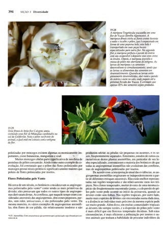 Biologia vegetal raven_5ªed