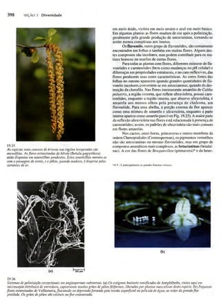 Biologia vegetal raven_5ªed