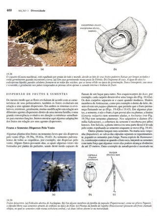 Biologia vegetal raven_5ªed