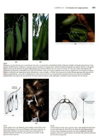 Biologia vegetal raven_5ªed