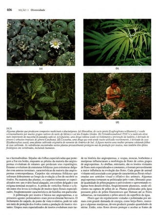 Biologia vegetal raven_5ªed