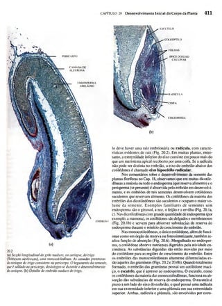 Biologia vegetal raven_5ªed