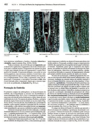Biologia vegetal raven_5ªed