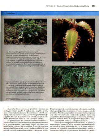 Biologia vegetal raven_5ªed