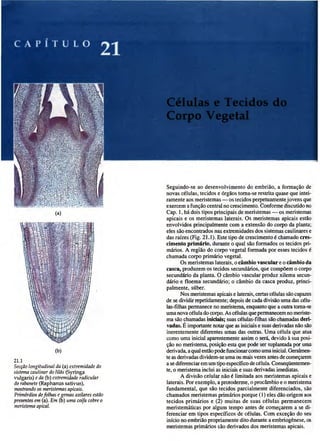 Biologia vegetal raven_5ªed