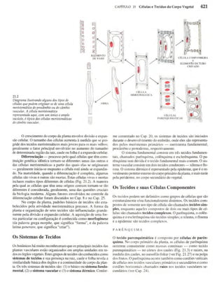 Biologia vegetal raven_5ªed