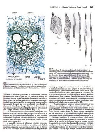 Biologia vegetal raven_5ªed