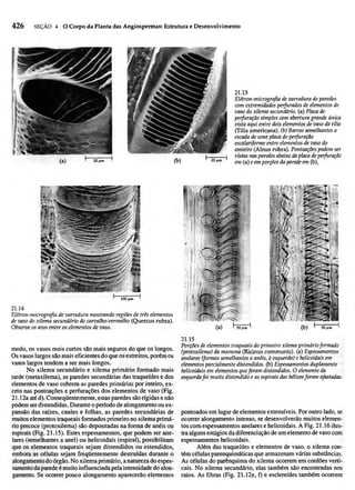 Biologia vegetal raven_5ªed