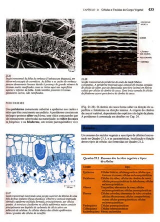 Biologia vegetal raven_5ªed
