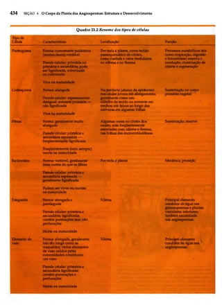 Biologia vegetal raven_5ªed