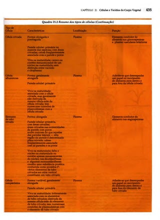 Biologia vegetal raven_5ªed