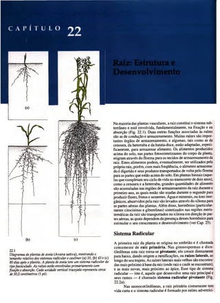 Biologia vegetal raven_5ªed