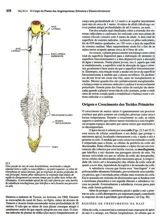Biologia vegetal raven_5ªed