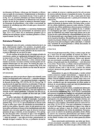 Biologia vegetal raven_5ªed