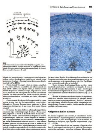 Biologia vegetal raven_5ªed