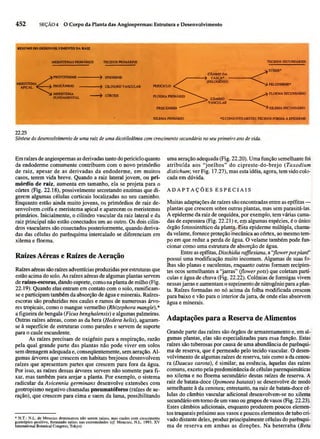 Biologia vegetal raven_5ªed