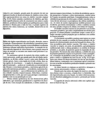 Biologia vegetal raven_5ªed