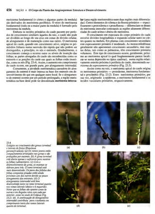 Biologia vegetal raven_5ªed