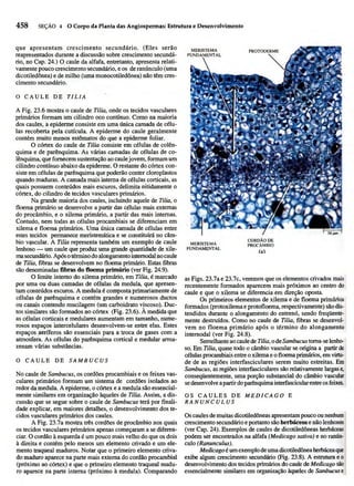 Biologia vegetal raven_5ªed