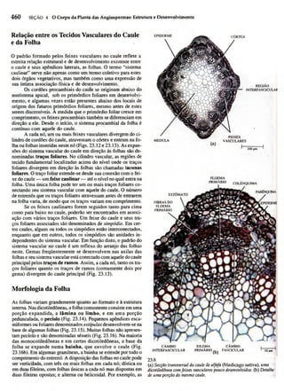 Biologia vegetal raven_5ªed