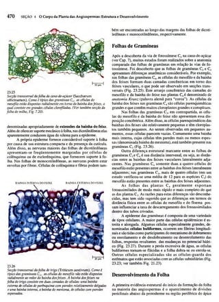 Biologia vegetal raven_5ªed