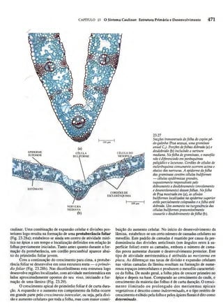 Biologia vegetal raven_5ªed