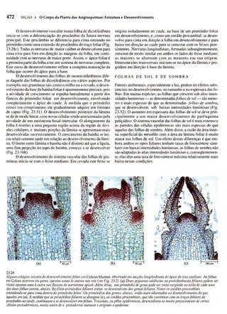 Biologia vegetal raven_5ªed