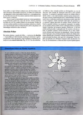 Biologia vegetal raven_5ªed