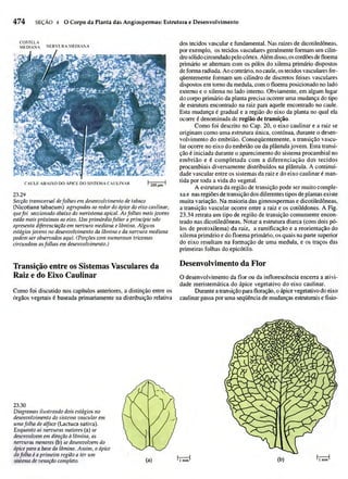 Biologia vegetal raven_5ªed