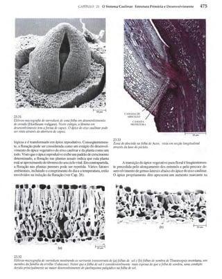 Biologia vegetal raven_5ªed
