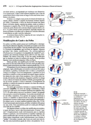 Biologia vegetal raven_5ªed