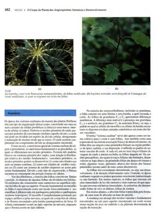 Biologia vegetal raven_5ªed