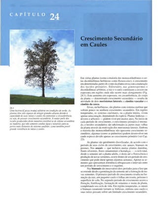 Biologia vegetal raven_5ªed