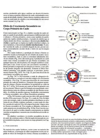Biologia vegetal raven_5ªed