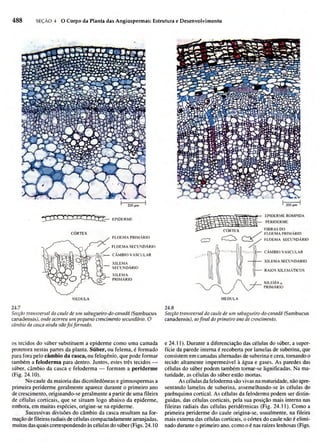 Biologia vegetal raven_5ªed