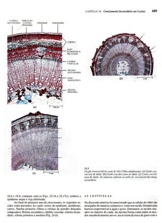 Biologia vegetal raven_5ªed