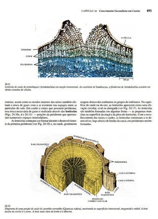 Biologia vegetal raven_5ªed