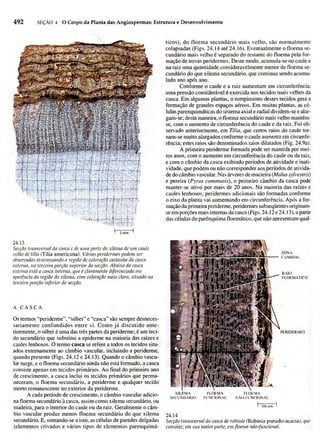 Biologia vegetal raven_5ªed
