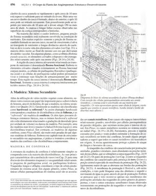Biologia vegetal raven_5ªed