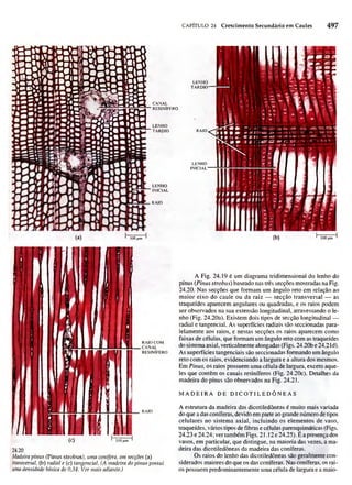 Biologia vegetal raven_5ªed
