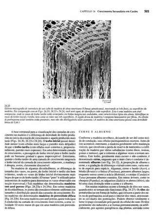 Biologia vegetal raven_5ªed